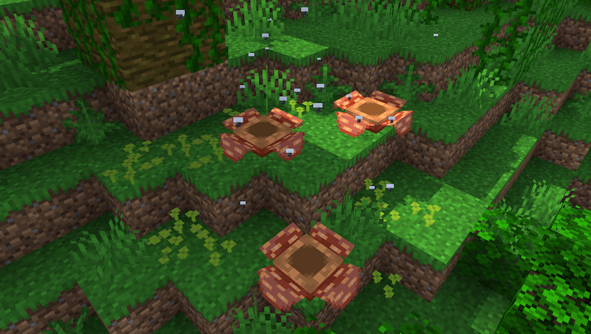 rafflesia.png rafflesia.png