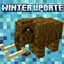 Winter update avatar
