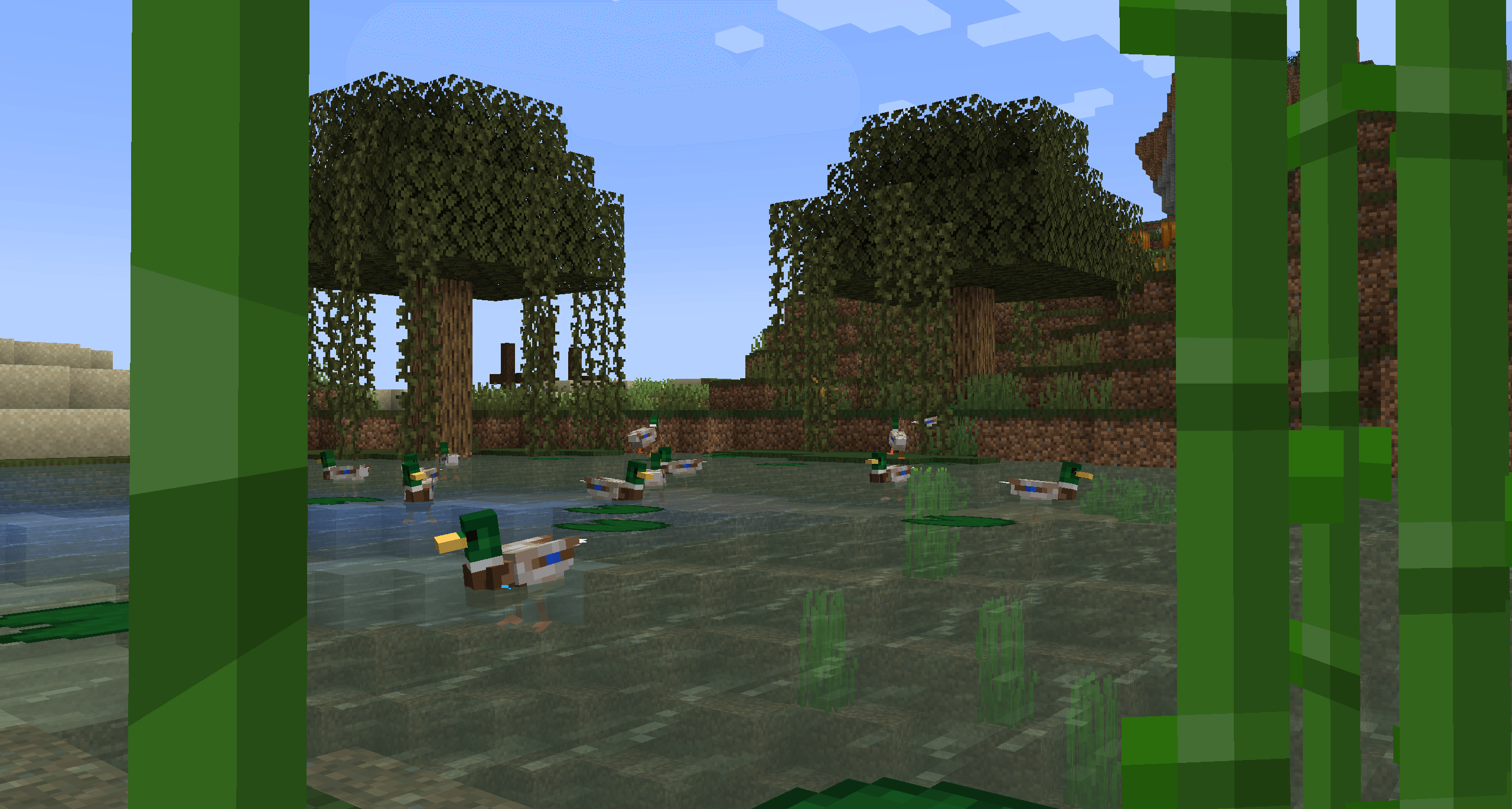 Утки в пруду Утки в пруду