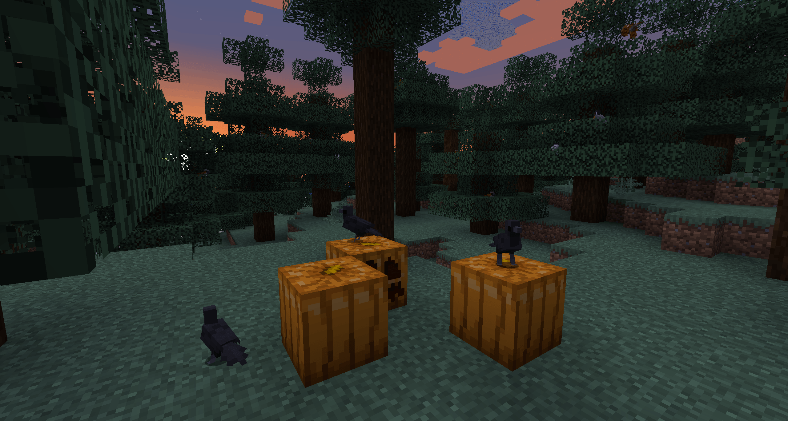 Вороны, стоящие на тыквах Вороны, стоящие на тыквах