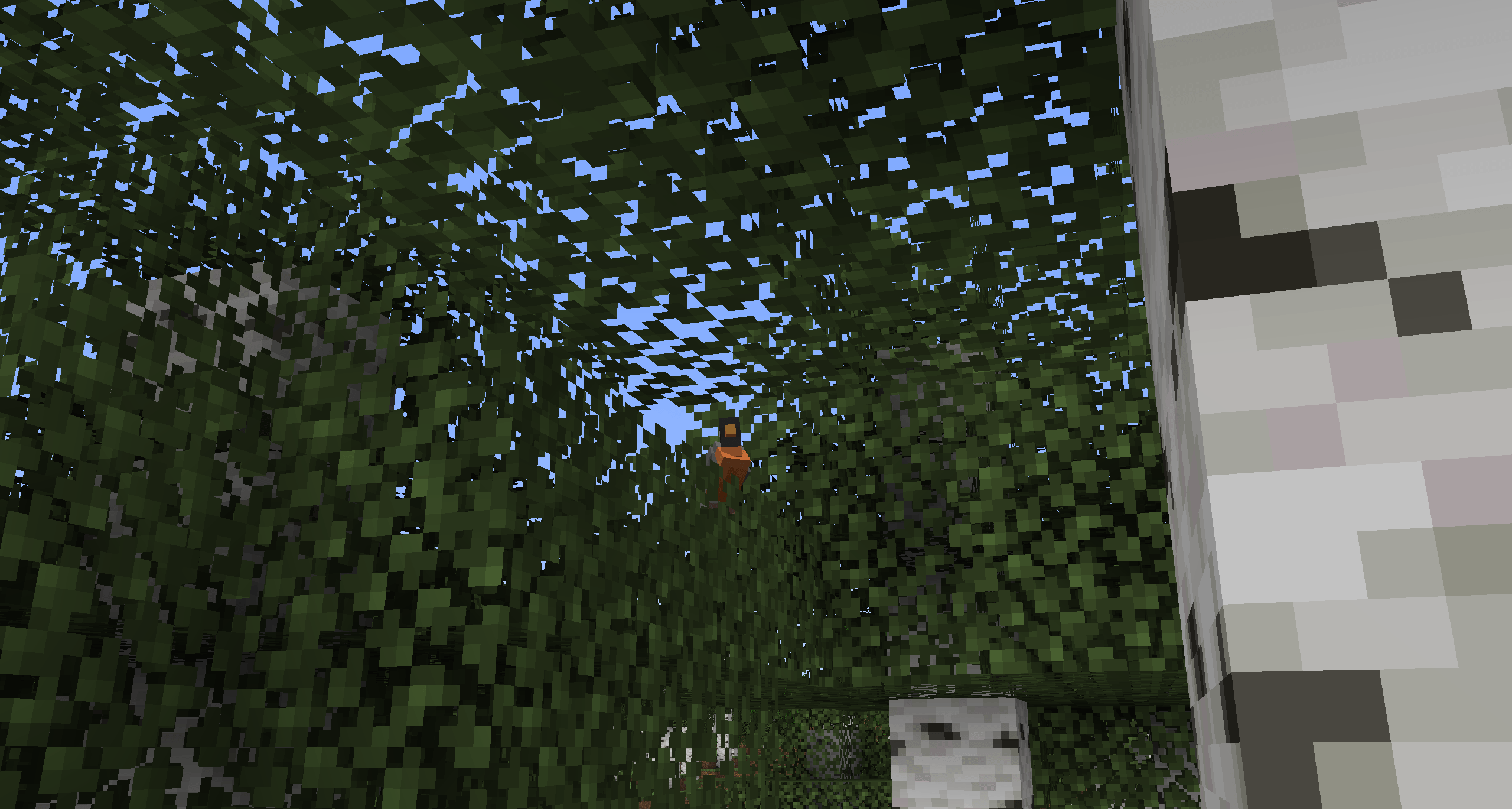 Американский дрозд на дереве Американский дрозд на дереве