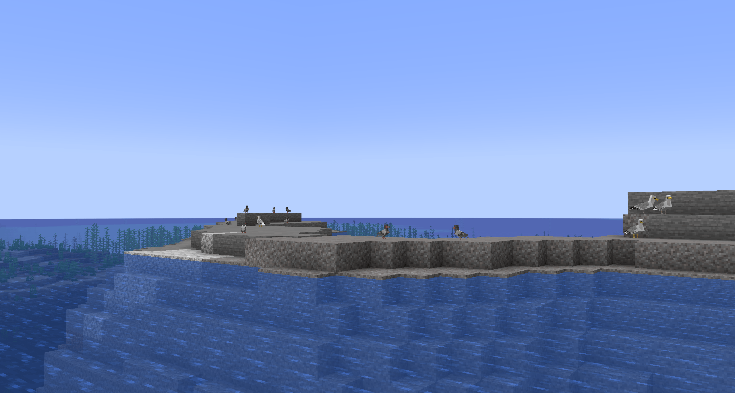 Голуби и чайки на побережье Голуби и чайки на побережье