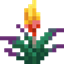 Glowing Torchflower avatar