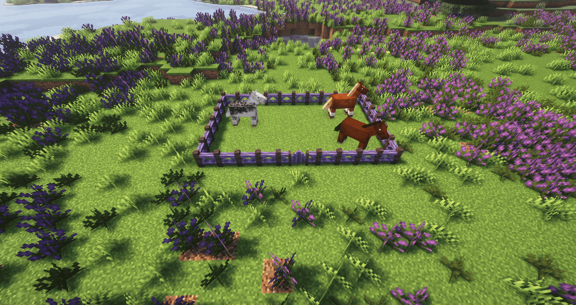 Заборы Заборы