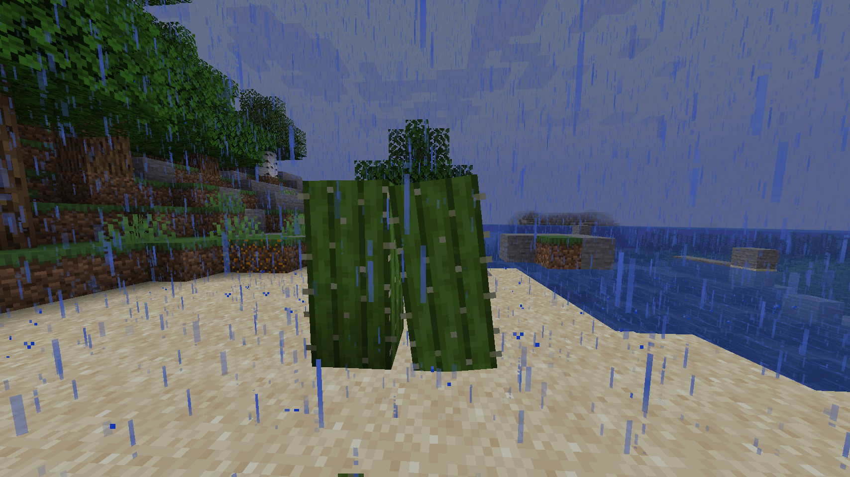 Cactus_3.png Cactus_3.png