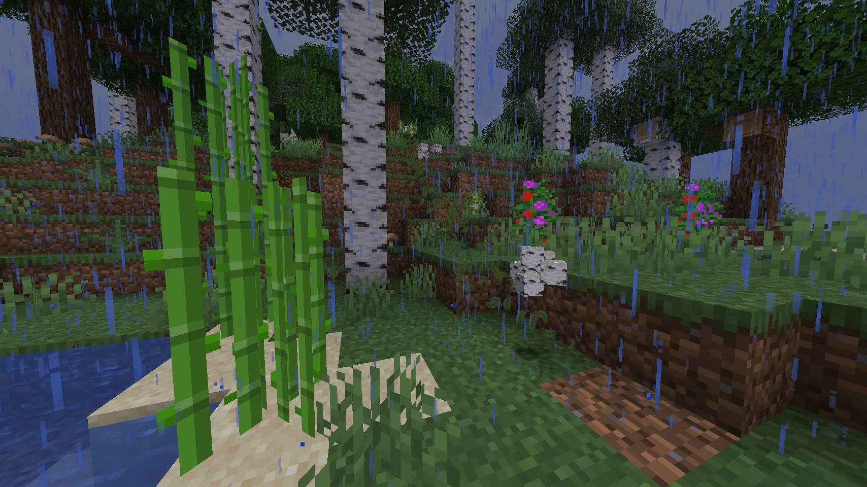 Birch_1.png Birch_1.png