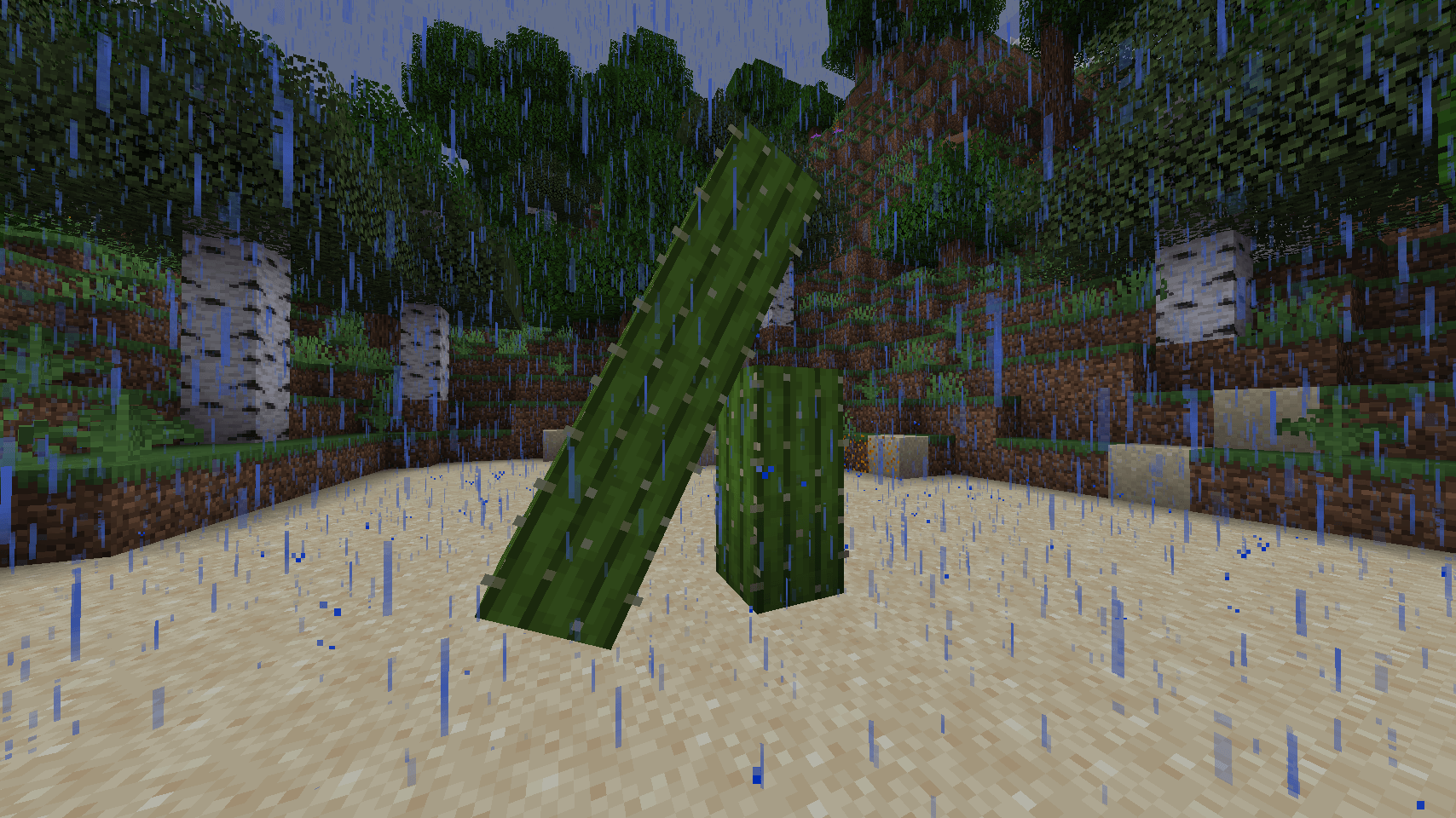Cactus_2.png Cactus_2.png
