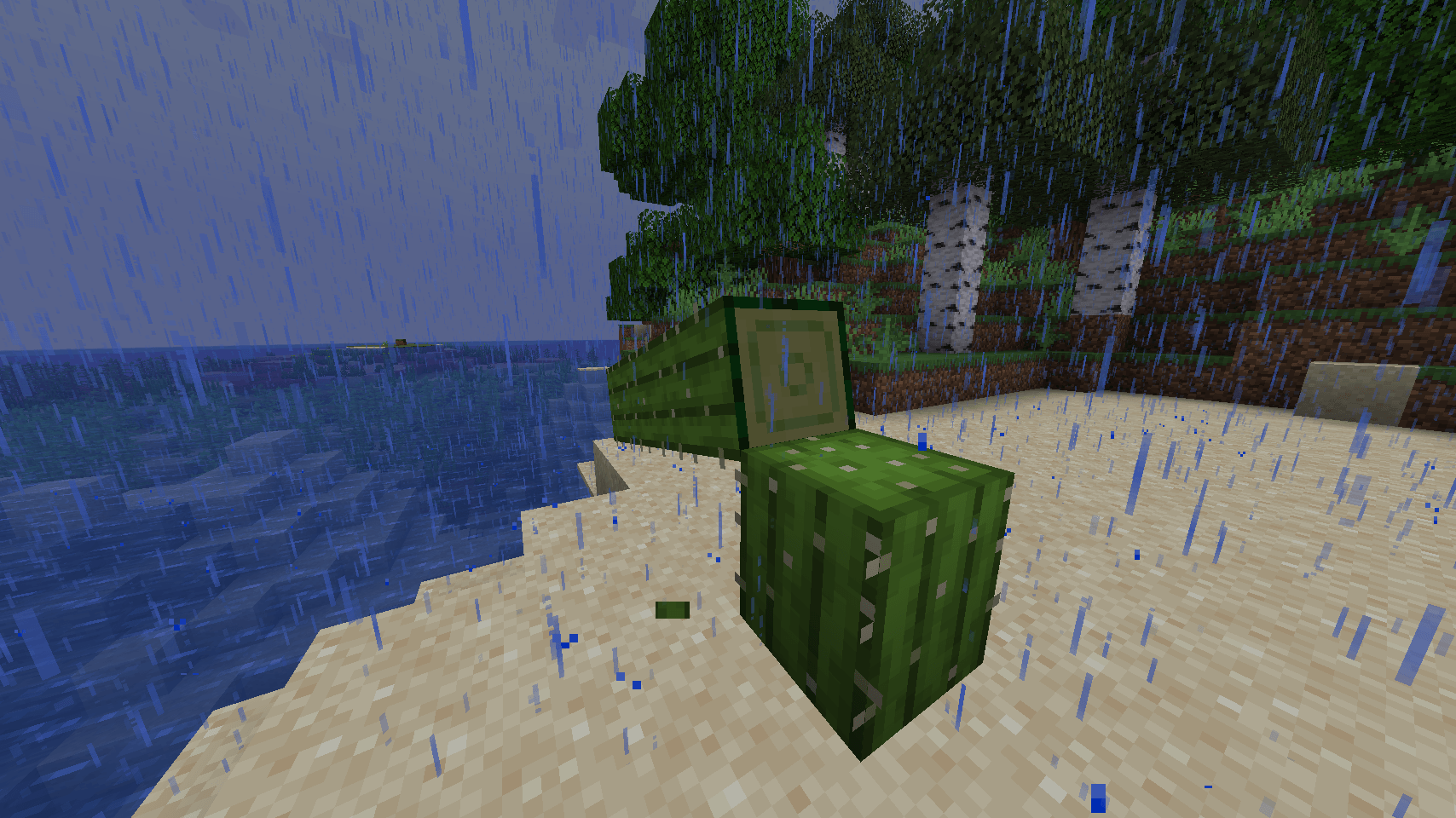 Cactus_1.png Cactus_1.png