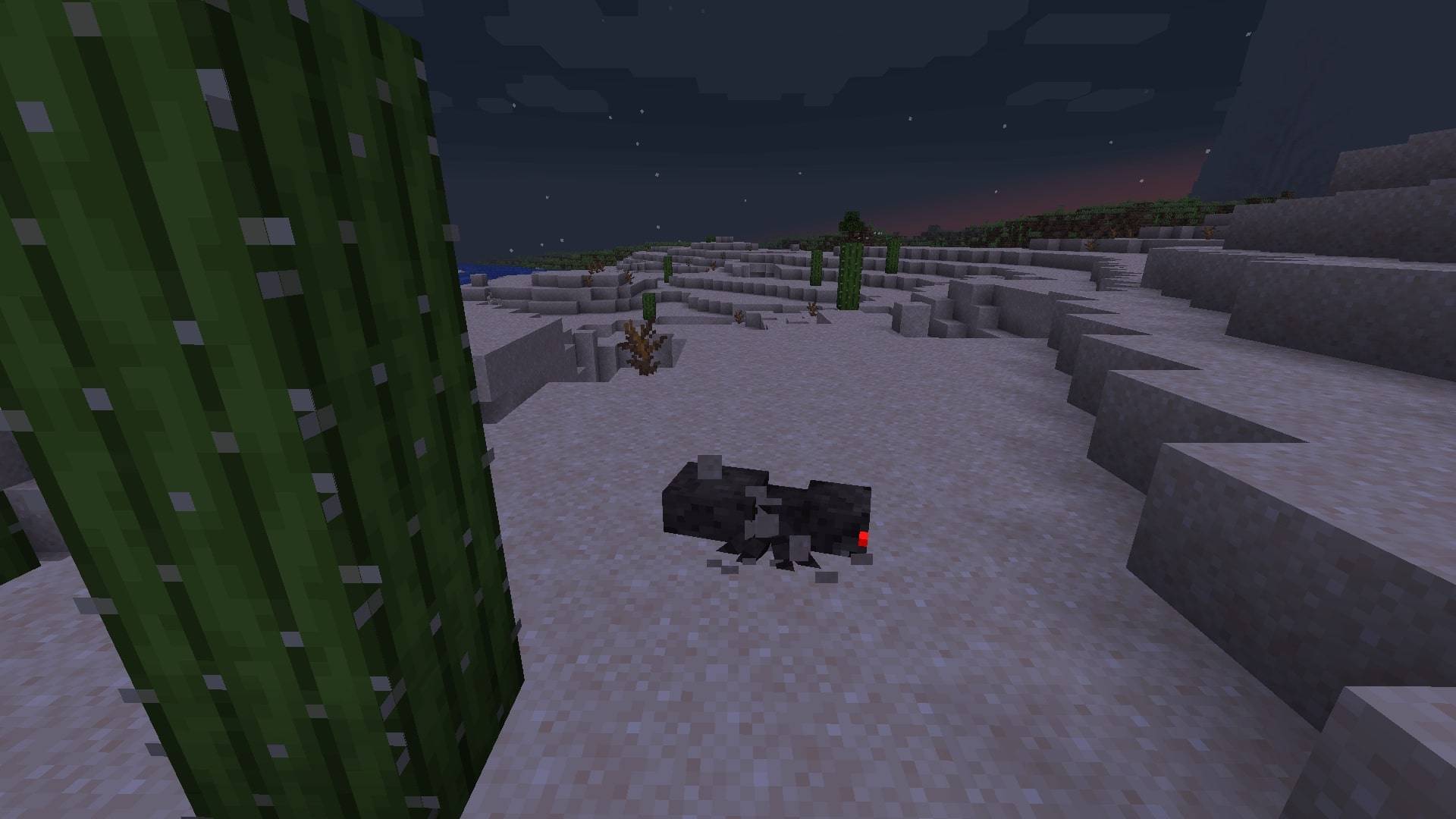 Паук копает землю Паук копает землю