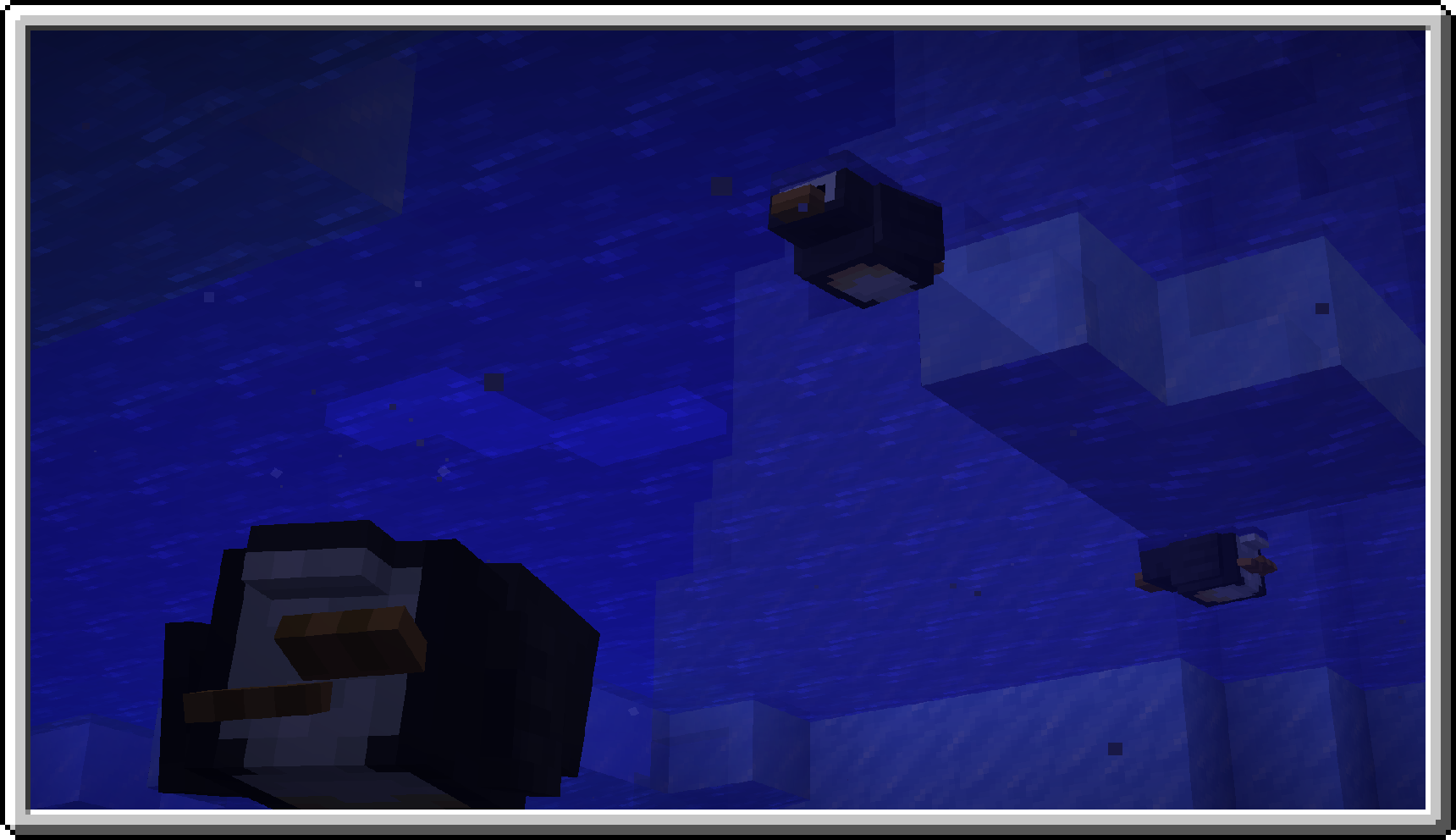 Пингвины плавают Пингвины плавают