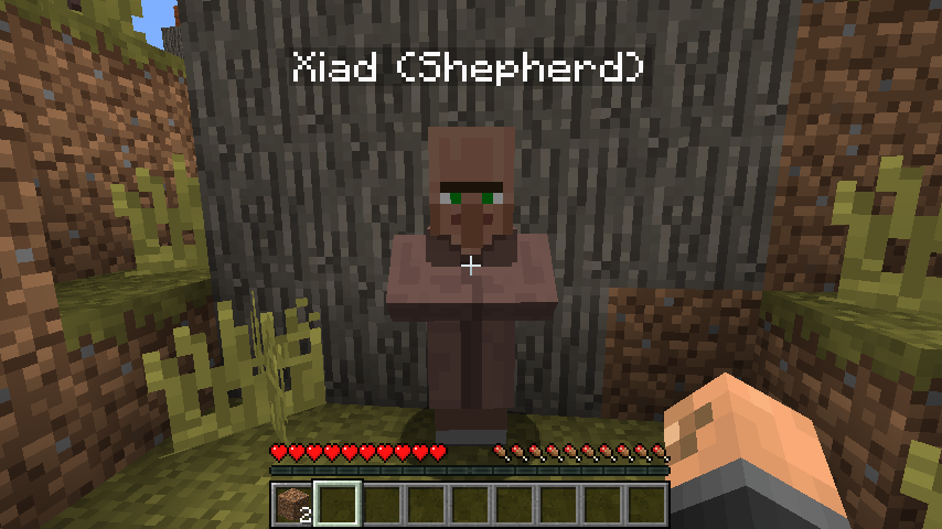 Новинка версии 1.1: вы можете добавить профессию жителя в его отображаемое имя. Новинка версии 1.1: вы можете добавить профессию жителя в его отображаемое имя.