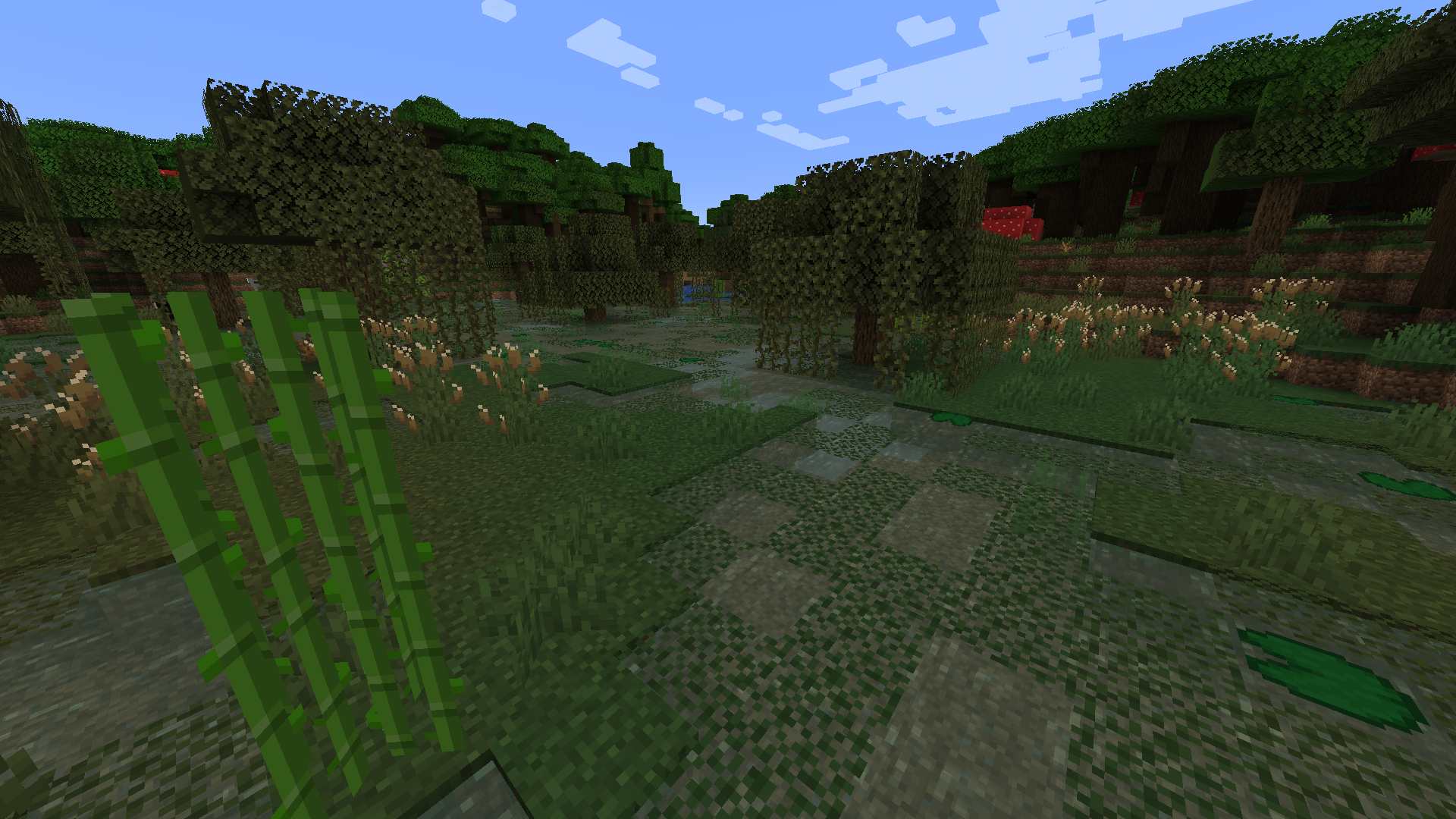 Водяная ряска и камыш Водяная ряска и камыш