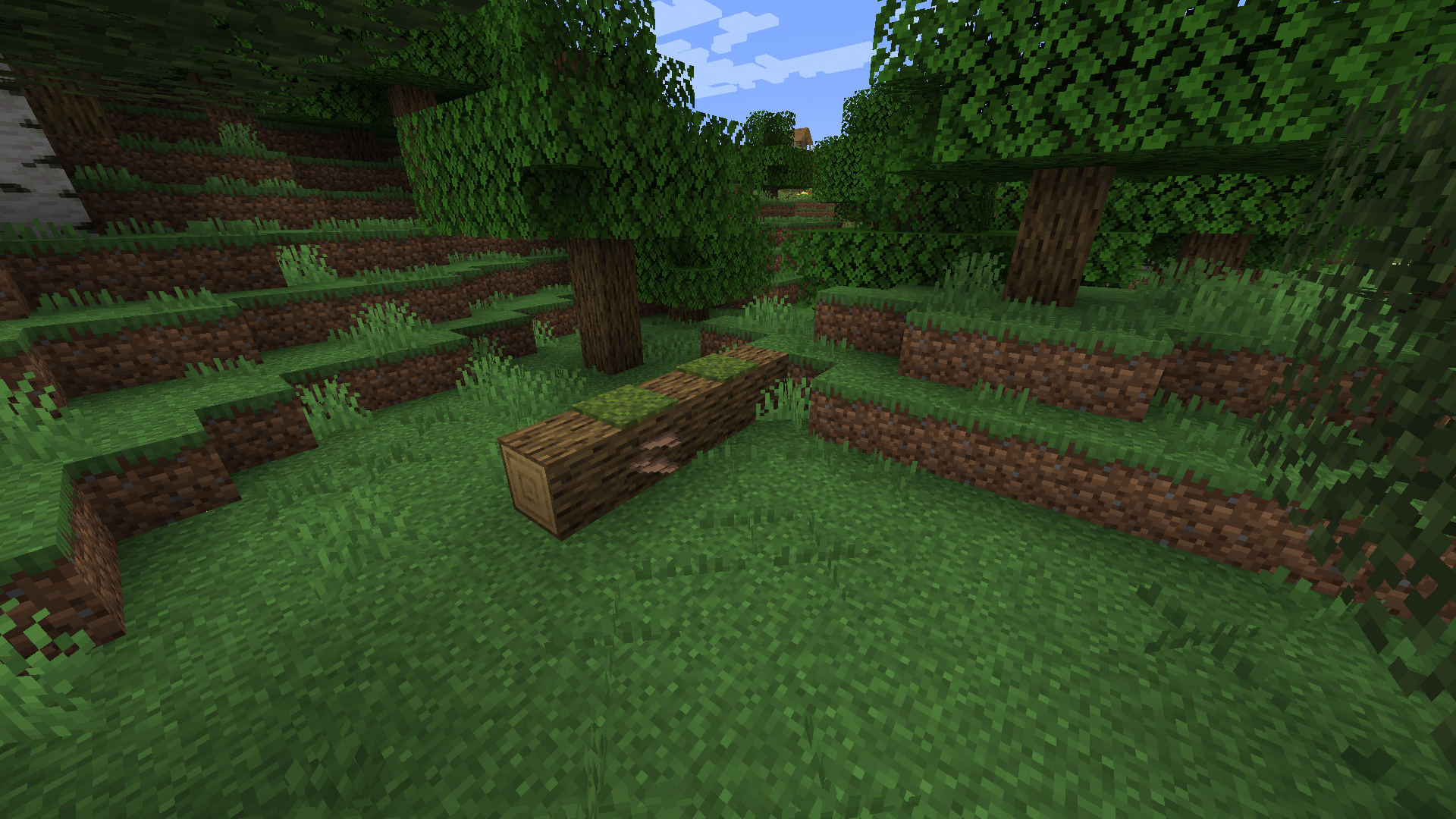 Трутовики, упавшие деревья и ростки Трутовики, упавшие деревья и ростки