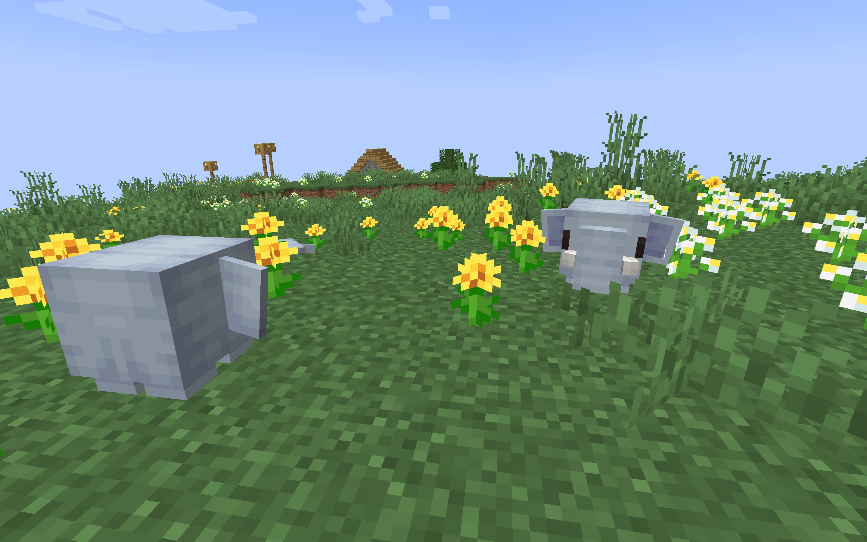 Слоны! Слоны!