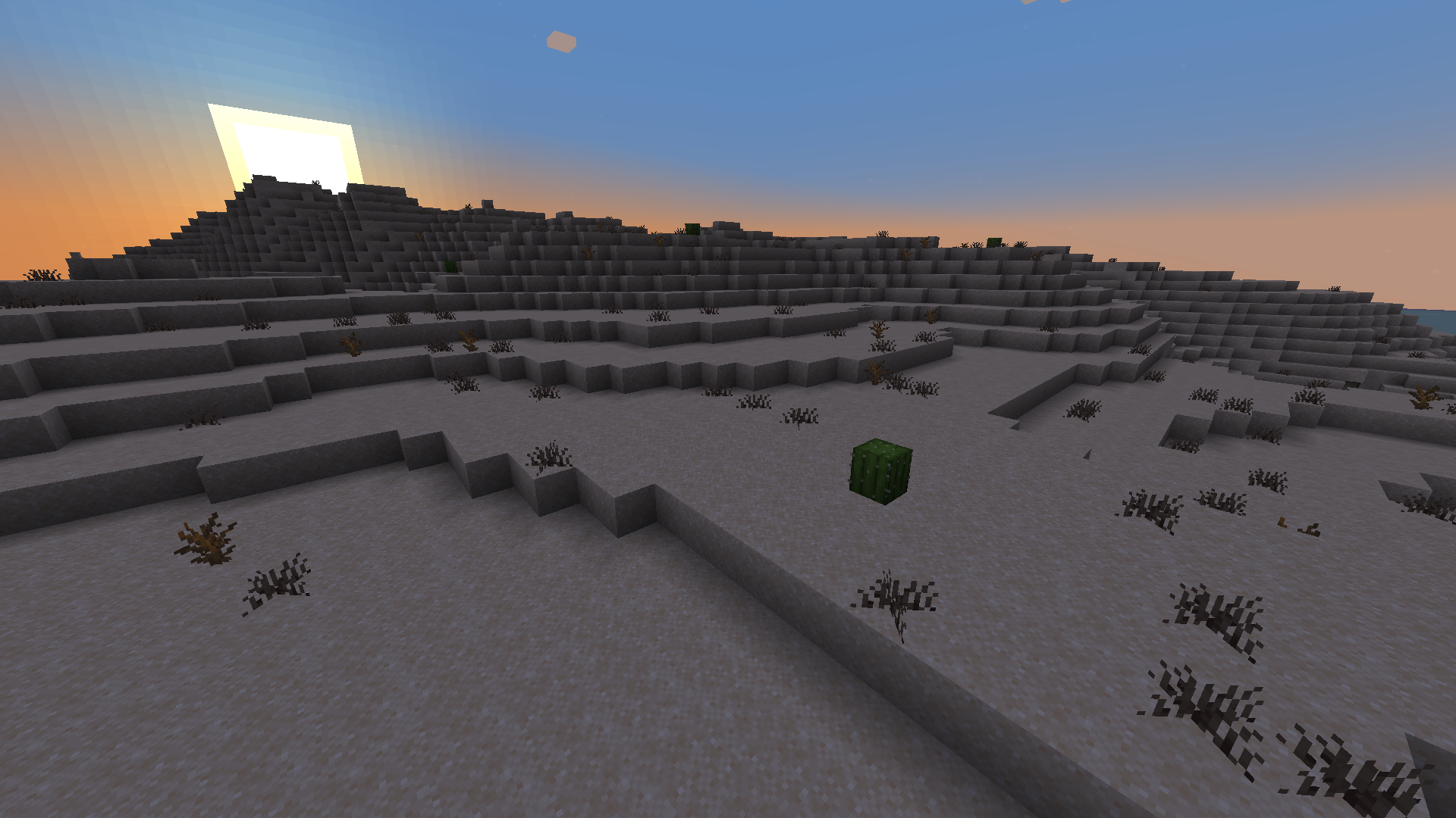 Дюнная трава Дюнная трава