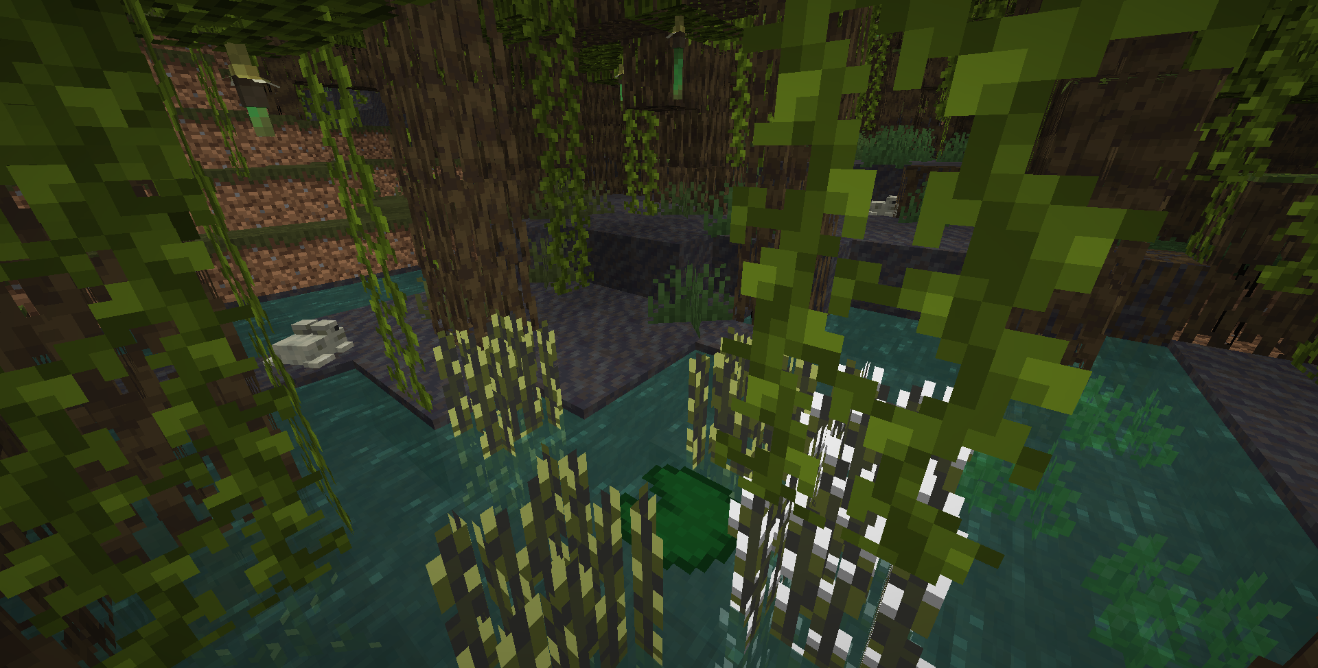 Наконец-то! На фото: рис, который естественным образом растёт в мангровых болотах, вместе с милыми маленькими амфибиями. Наконец-то! На фото: рис, который естественным образом растёт в мангровых болотах, вместе с милыми маленькими амфибиями.