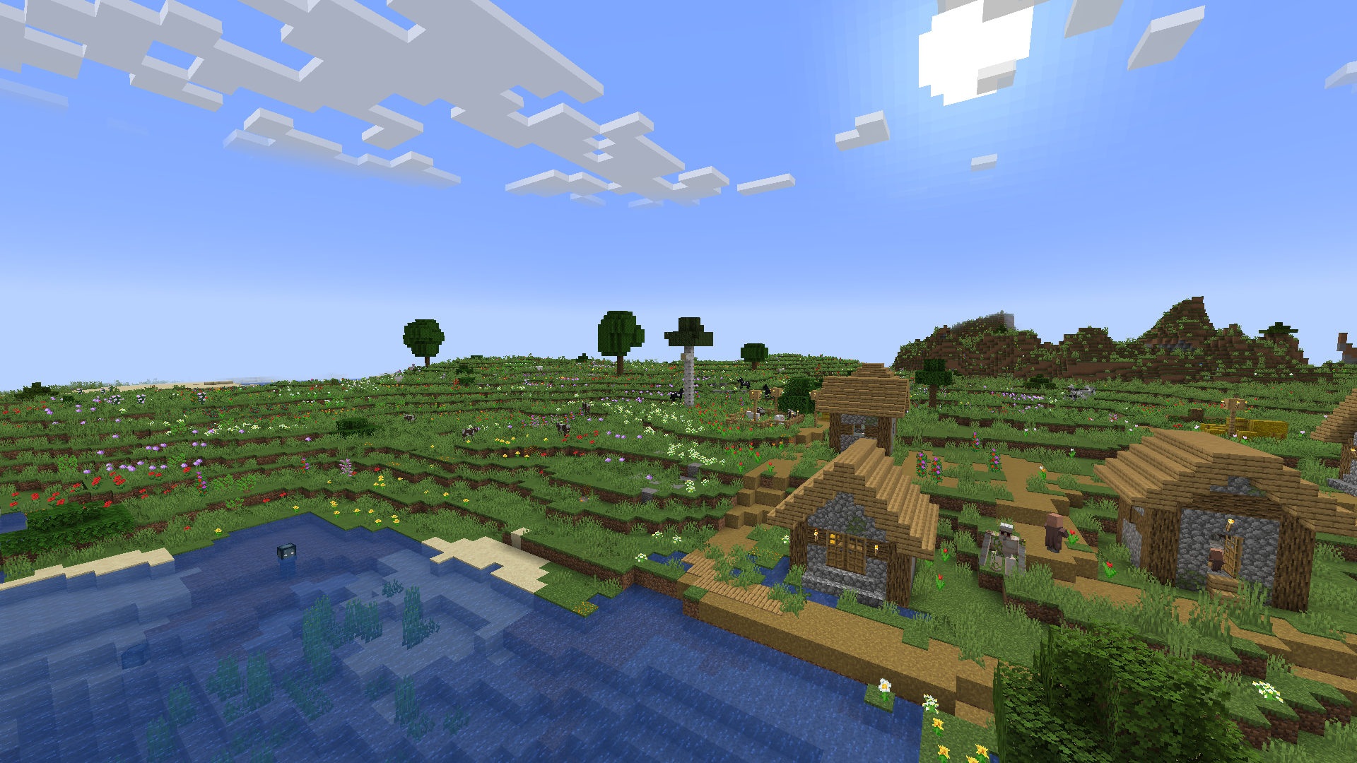 Цветочное поле Цветочное поле