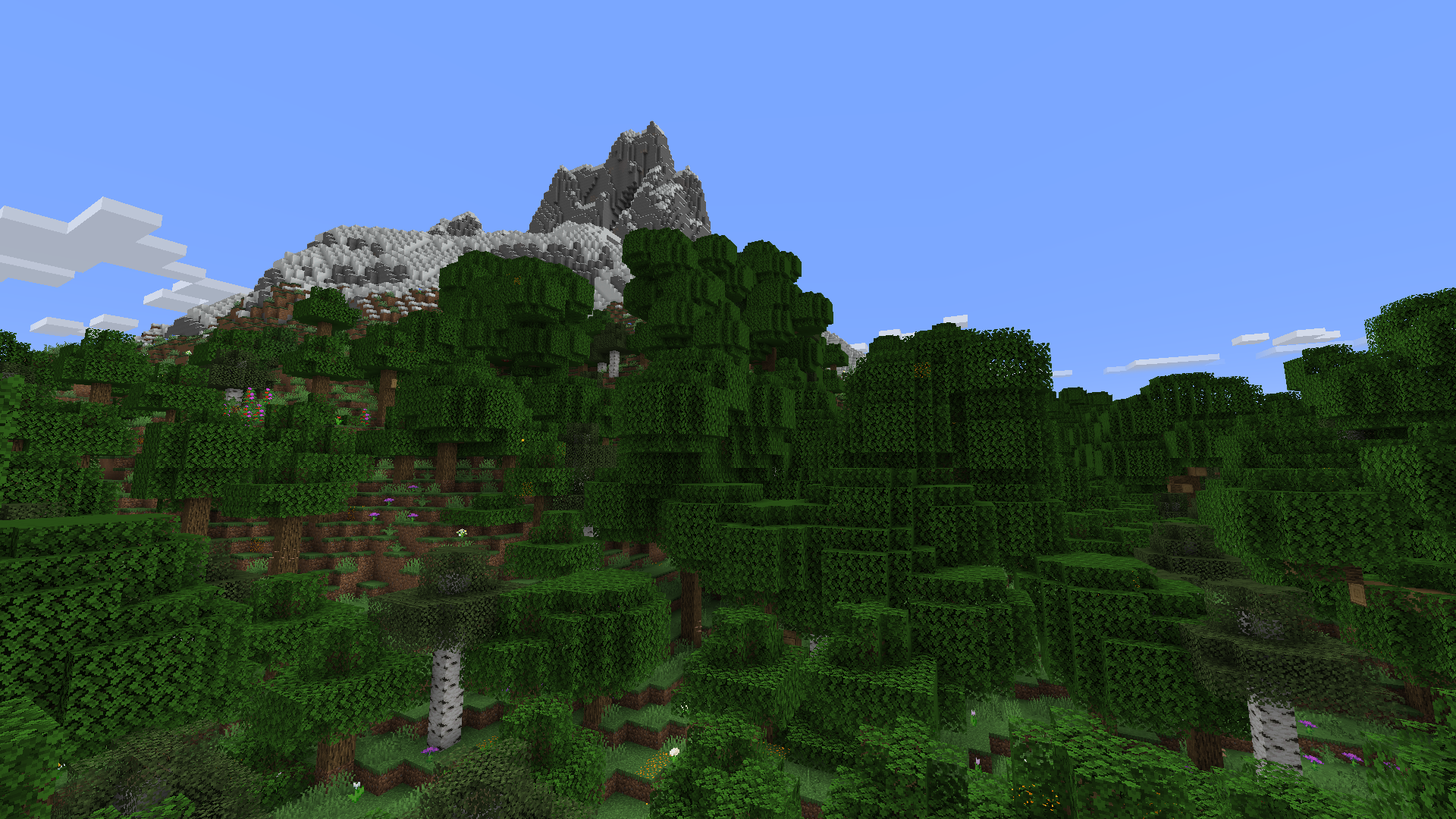 Обновленный лес Обновленный лес