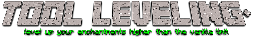 Tool Leveling Tool Leveling
