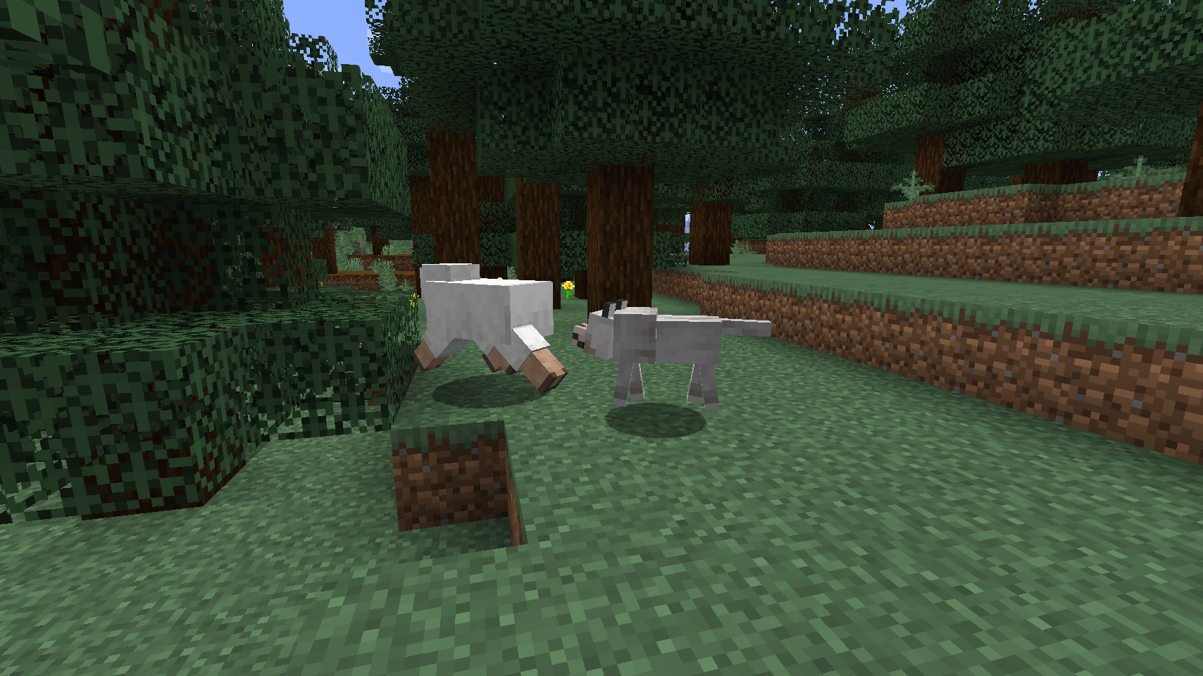 Овцы способны ощущать волков и убегать от них. Овцы способны ощущать волков и убегать от них.