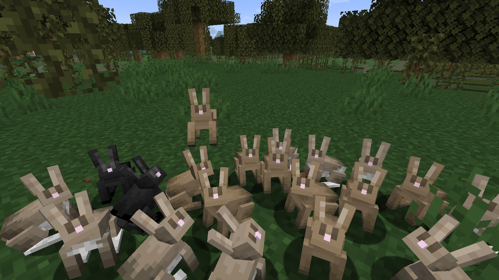 Кролики стали гораздо смелее. Кролики стали гораздо смелее.