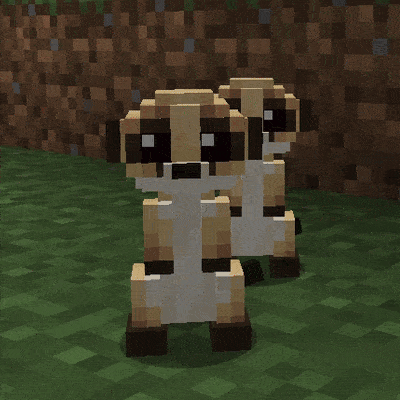 animations animations