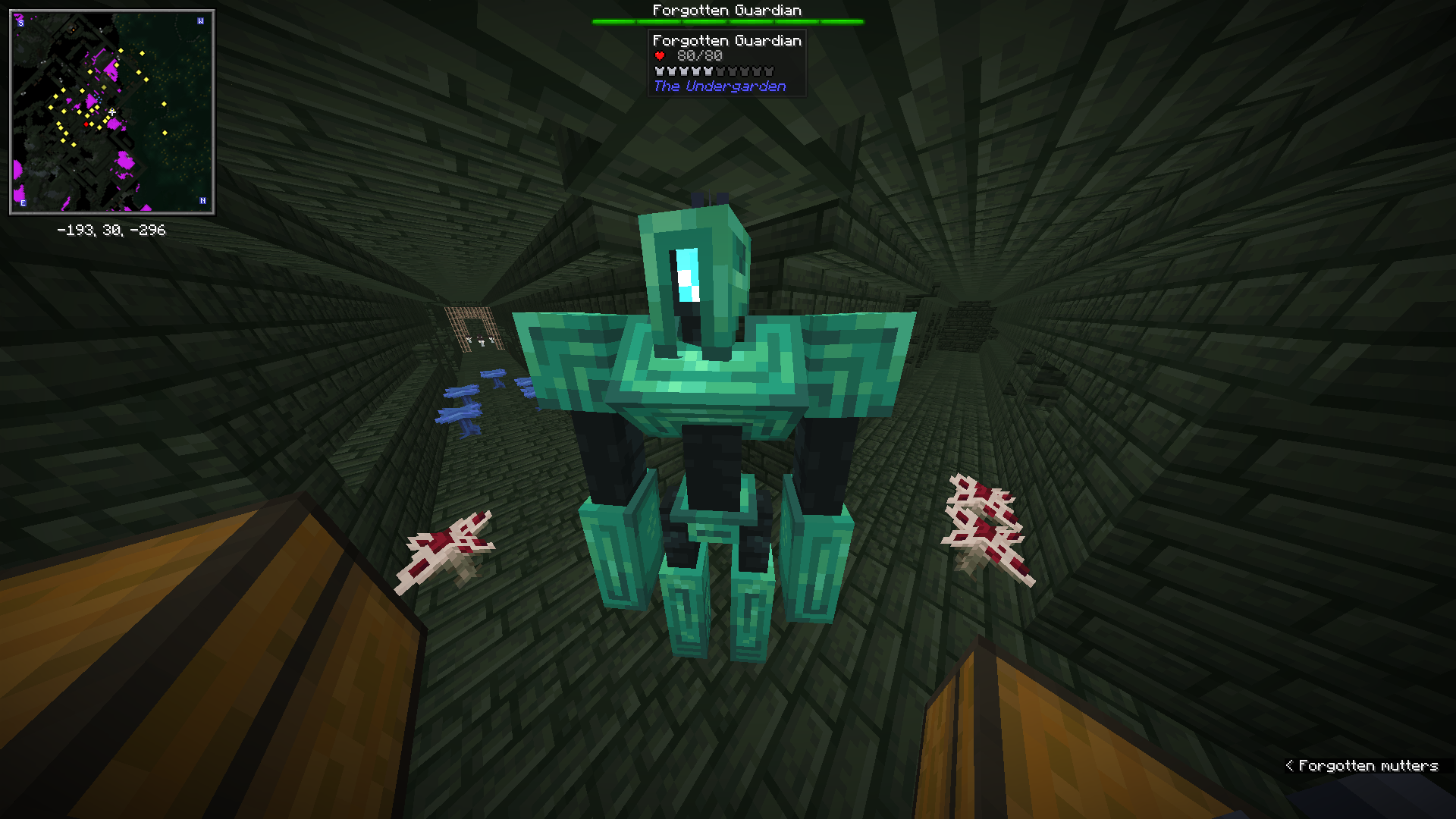 Forgotten Guardian из The Undergarden с панелью босса Forgotten Guardian из The Undergarden с панелью босса